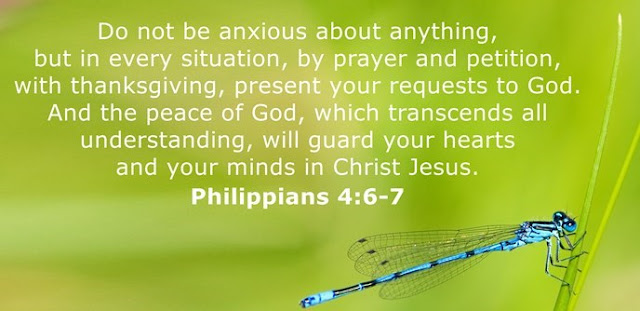   Do not be anxious about anything, but in every situation, by prayer and petition, with thanksgiving, present your requests to God. And the peace of God, which transcends all understanding, will guard your hearts and your minds in Christ Jesus. 