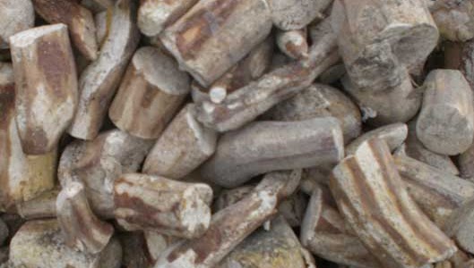 Klasifikasi bahan pakan menurut sumbernya