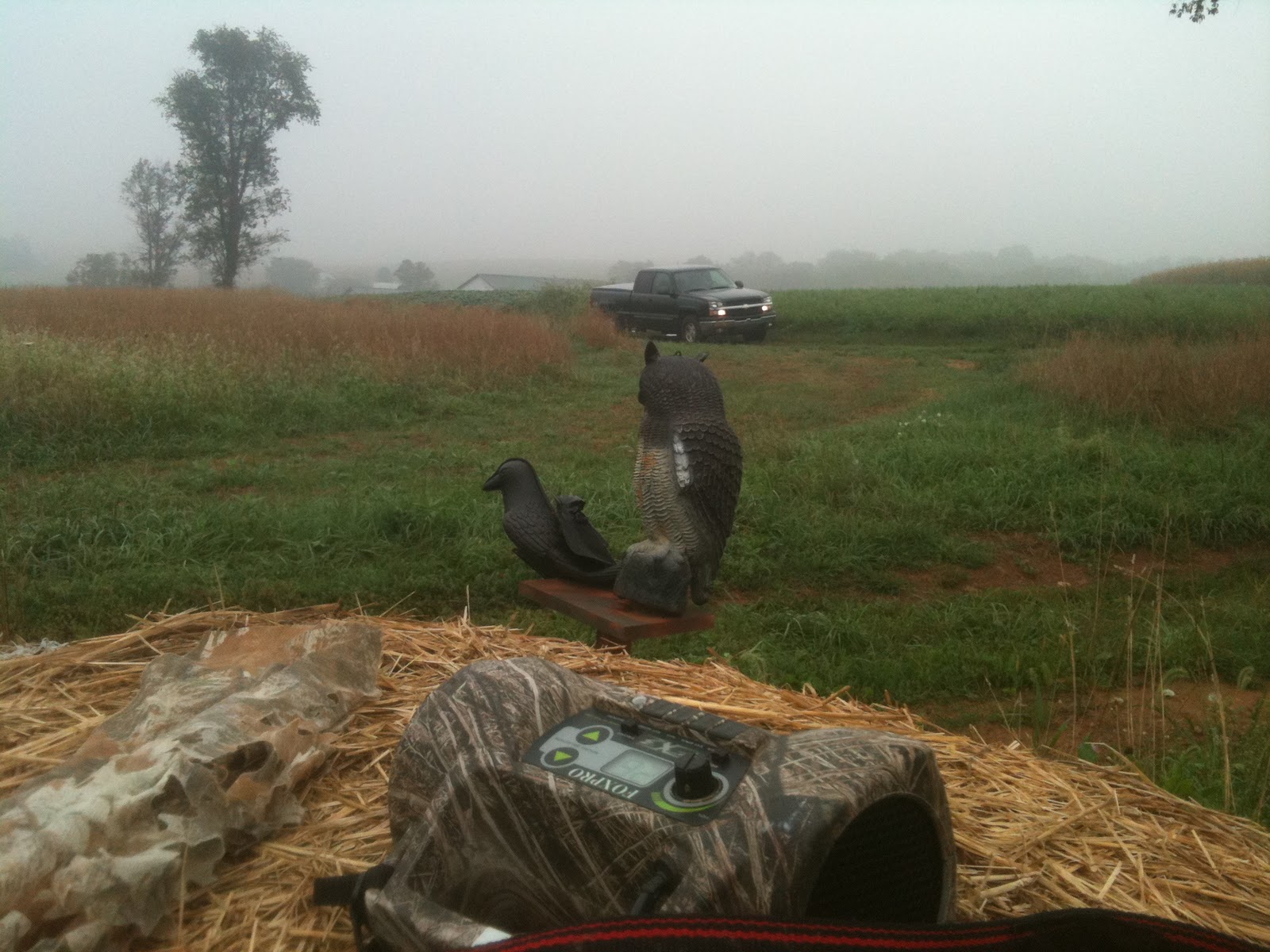 The Weekend Hunters Crow Decoy With An Owl