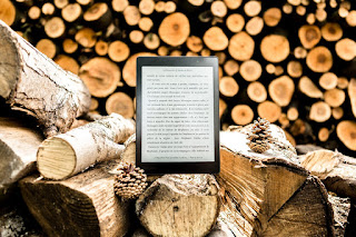 Jak wybrać pokrowiec na e-Book?