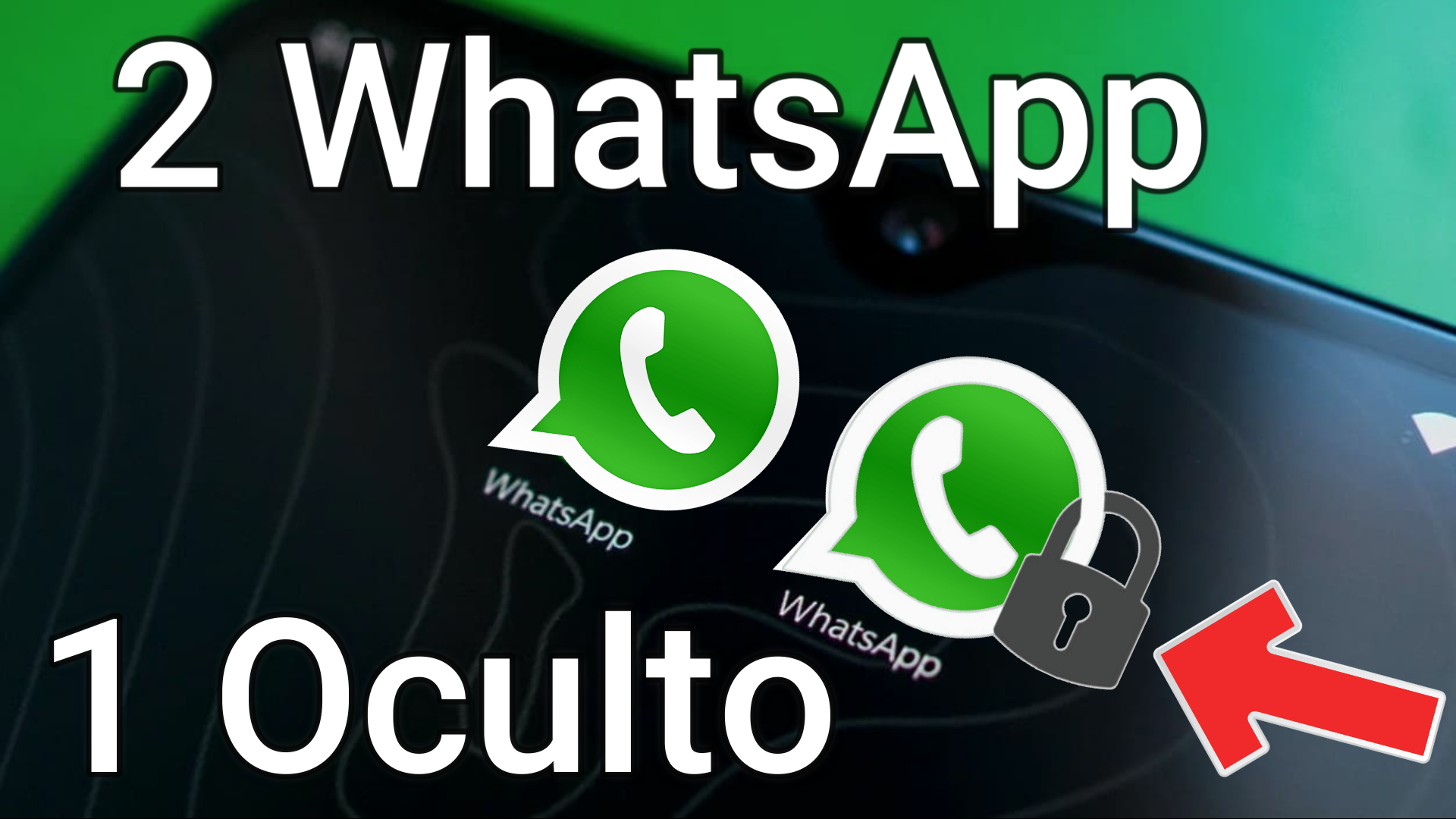WhatsApp privado que solo tu puedes ver. Lopediatec