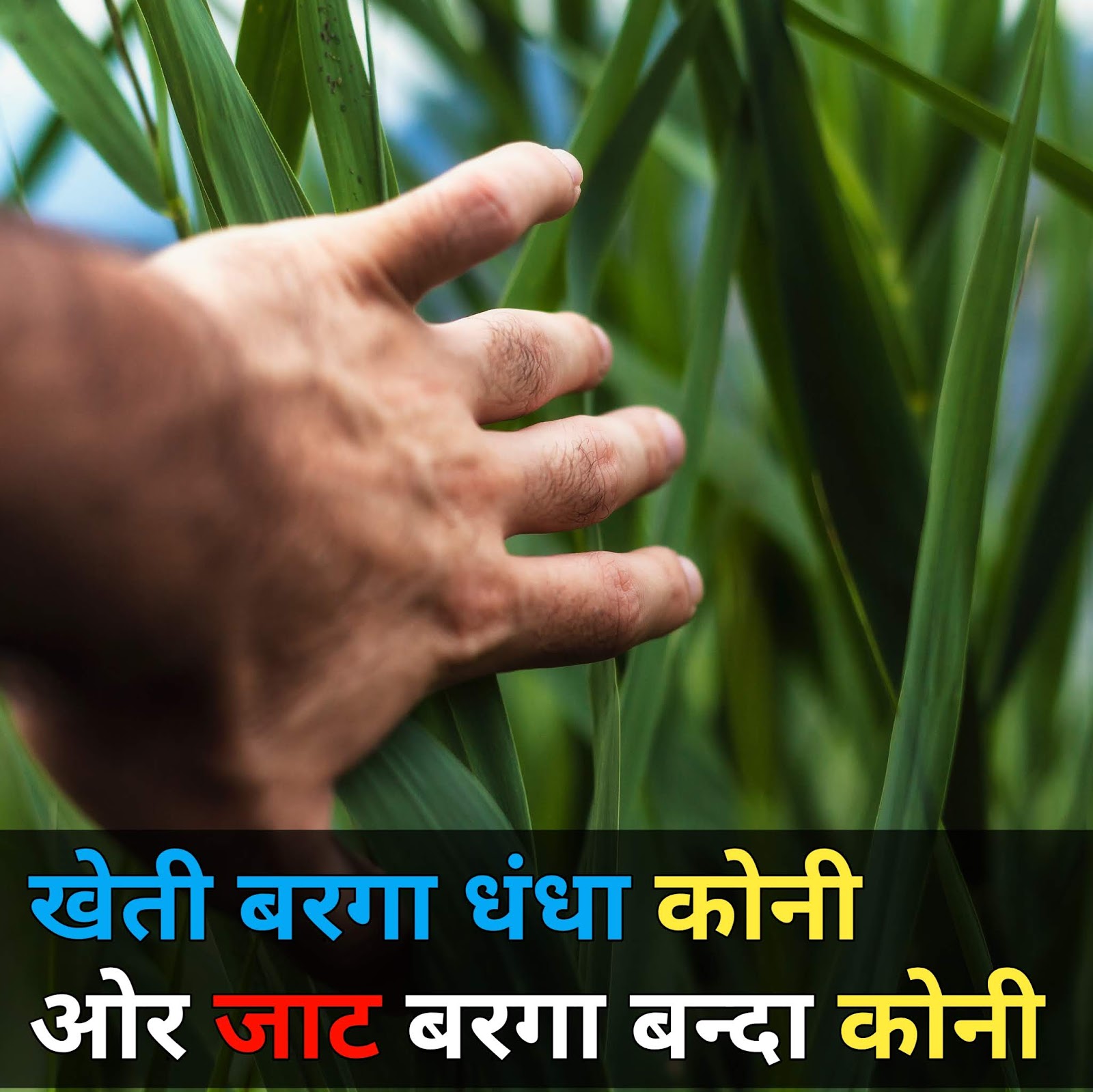 Jaat Status 101+ Jaat Attitude Status For Whatsapp/Facebook