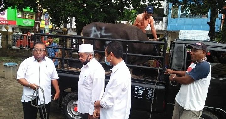 Tak Hanya Ucapan Idul Adha, Gereja di Maluku Sumbang Sapi untuk Hewan Kurban