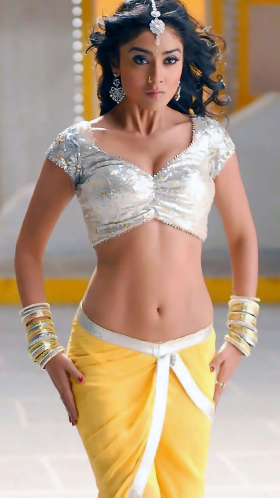 Shriya saran latest hot and sexy navel show photo shoot stills gallery