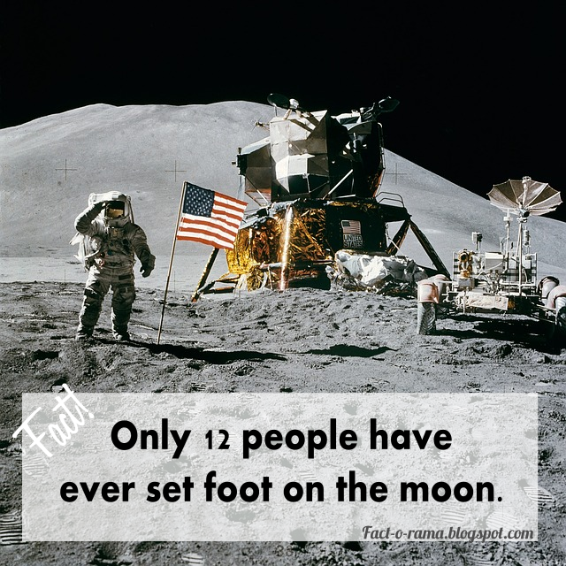 Moon Facts - 10+ Unbelievable Facts about the Moon - Fact-o-Rama