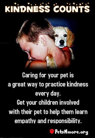  animal, dog, cat, pet, animal, inspiring quotes for animal lovers, petsnmore.org, kindness,
