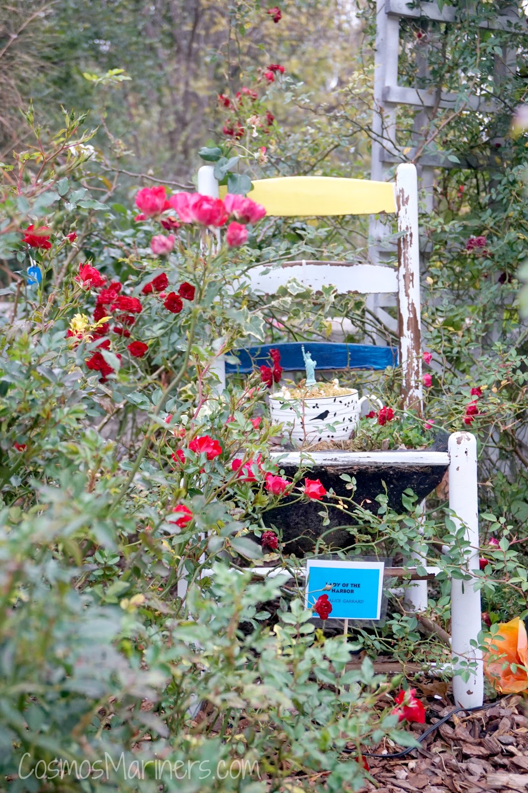 Things to Do in the North Carolina Mountains the Lake Lure Flowering