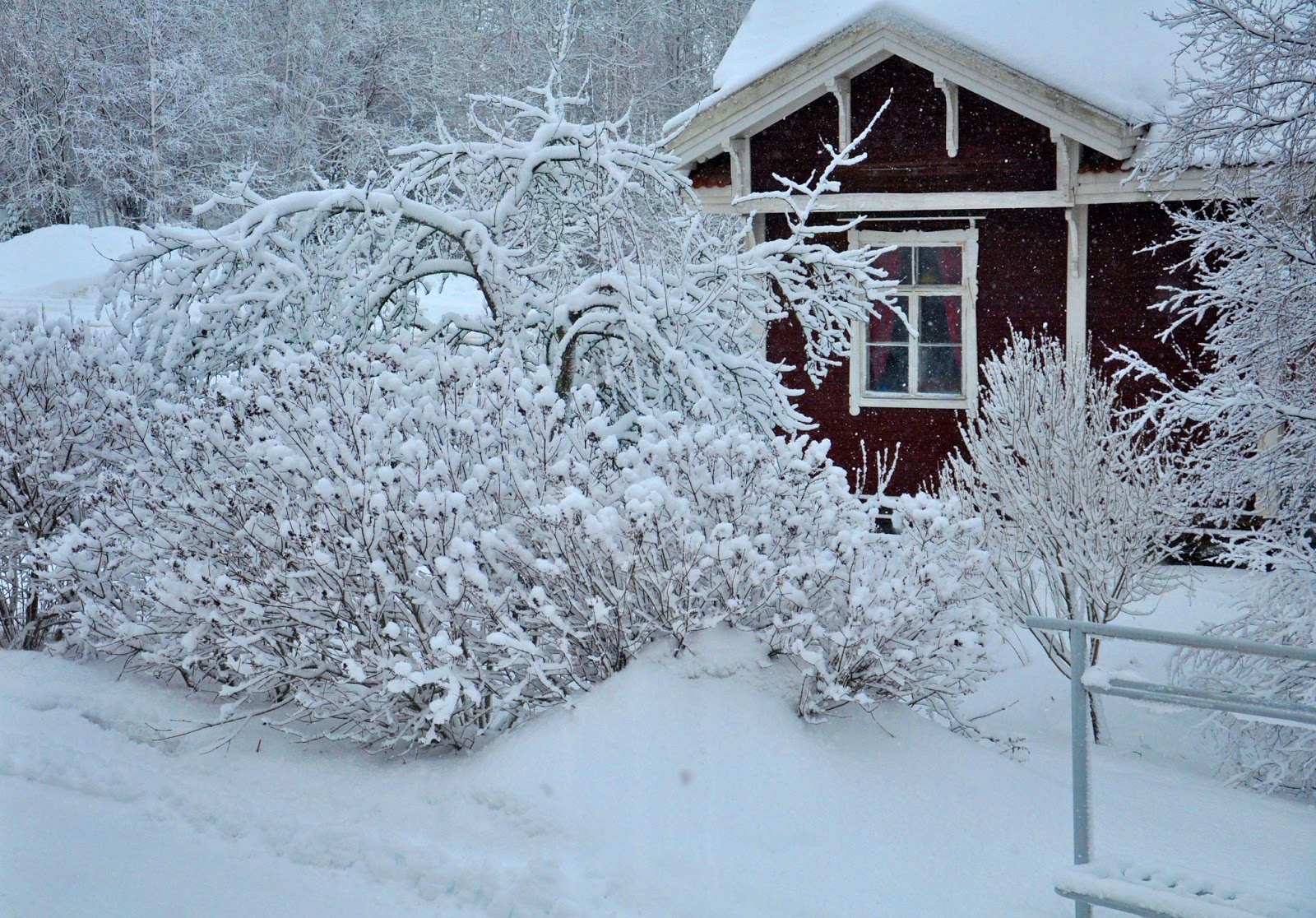 Снегом укрыты дома. Дача. Зима. Огород зимой. Садовый участок зимой. Зима в саду.