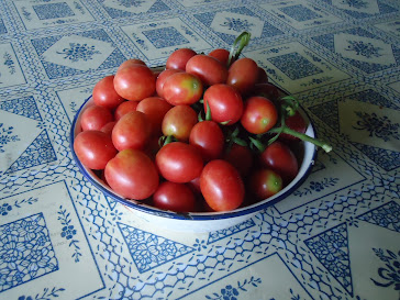 Tomates cerejinha