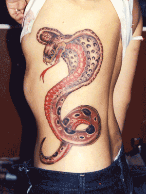 Snake Tattoos
