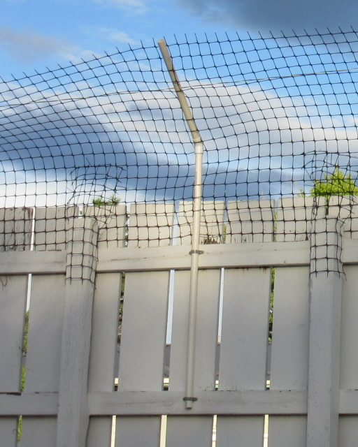 Cat Fence made from pvc pipe PVC posts/ skeleton of fence