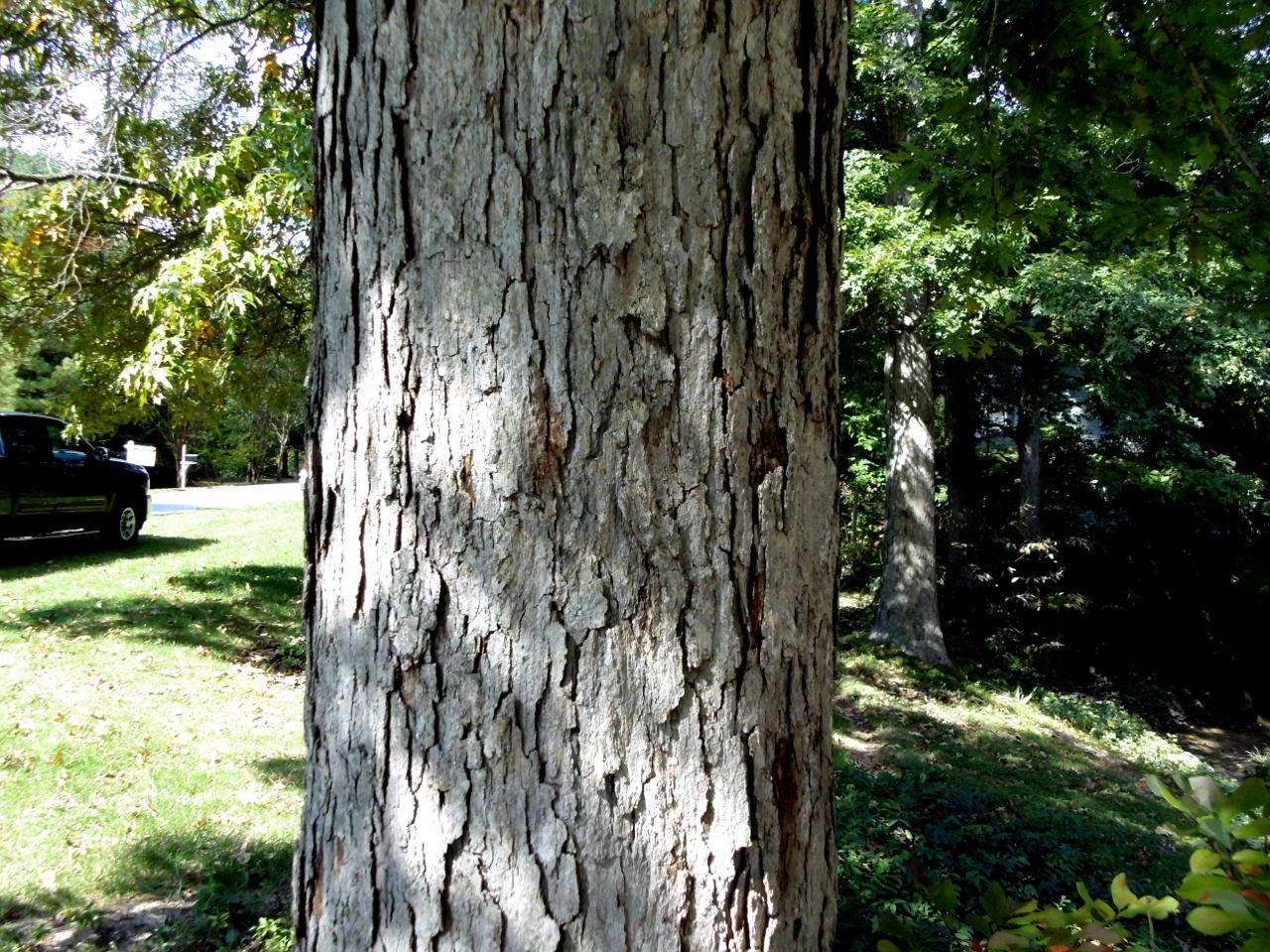 A View from the Beach News You Can Use