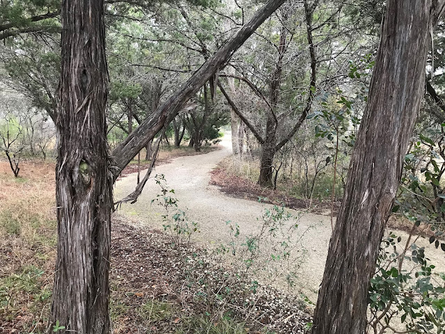 Day Hike in San Antonio: Crownridge Canyon Natural Area Bird Watching