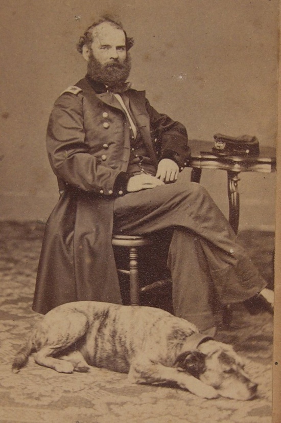 historia i ja The Civil War & dogs