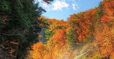 Autumn, Lower Falls, Letchworth State Park, New York ~ Photos Hub