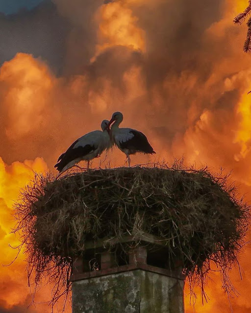 O EFEITO DAS FOTOGRAFIA SOBRE O ESPÍRITO