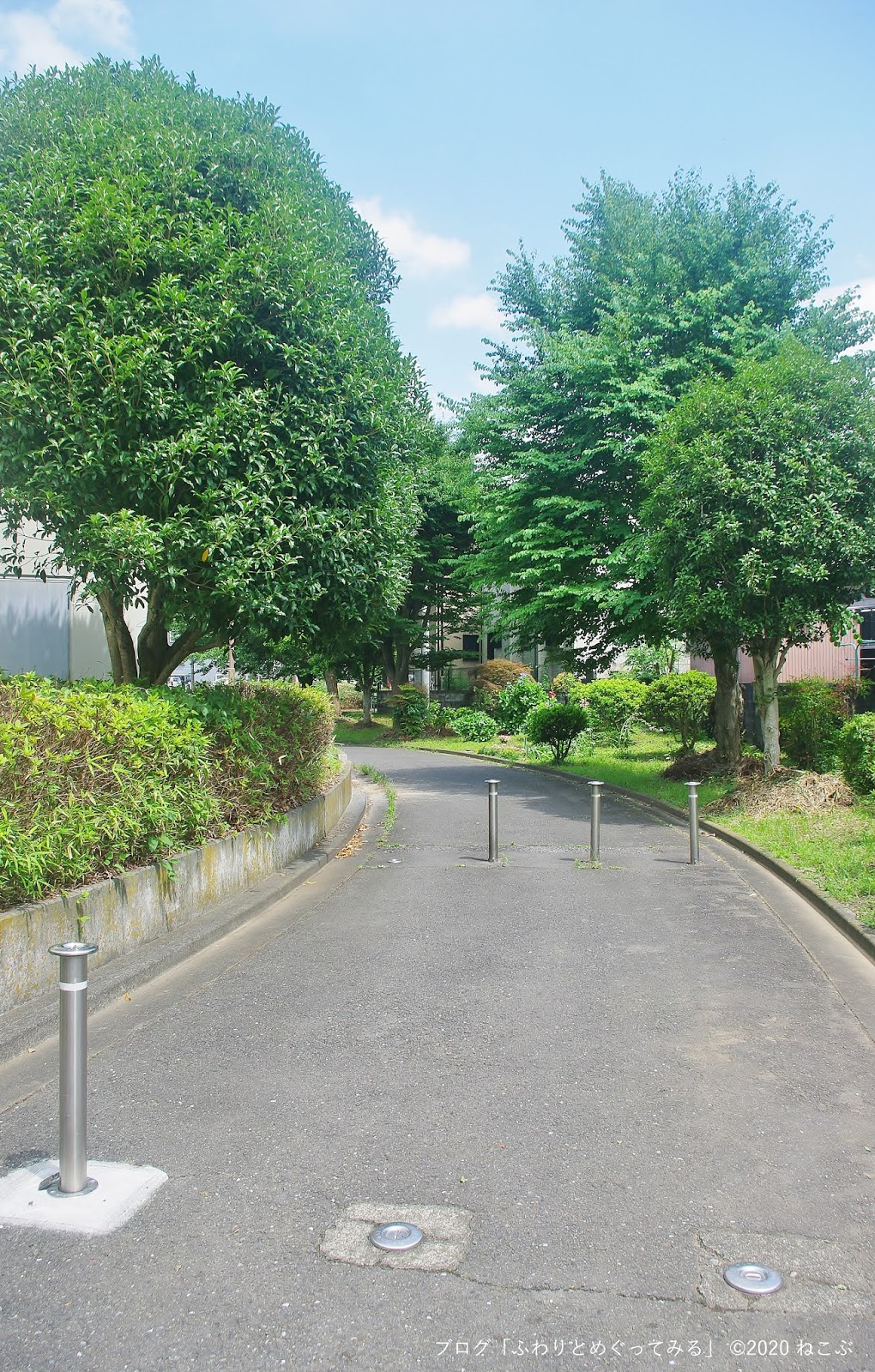ふわりとめぐってみる 下麻生緑道 県道12号（横浜上麻生道路）沿い