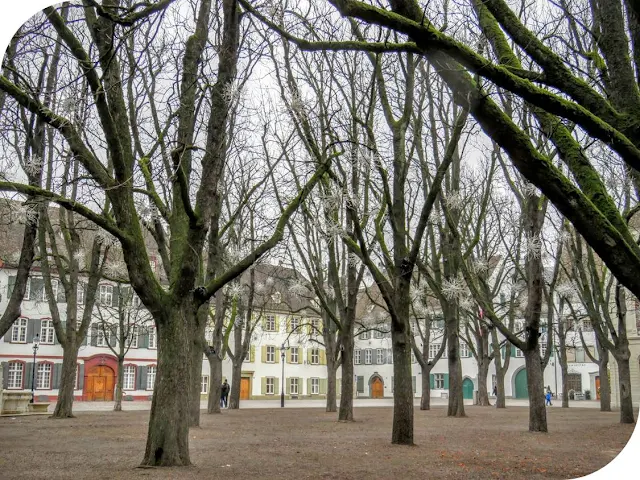 Ringing in the New Year Swiss Style in Basel: Trees on the Münsterplatz