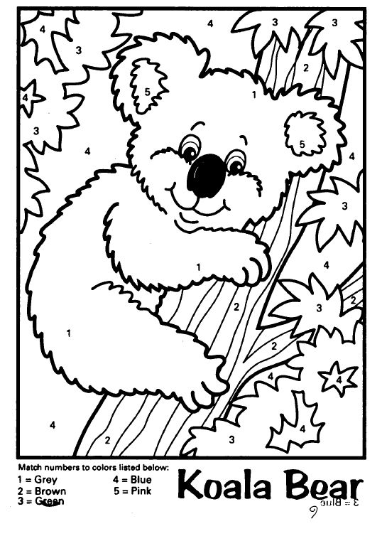 Tranh cho bé tô màu theo số chủ đề con gấu koala