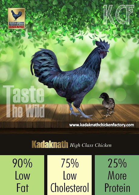 Kadaknath Chicken