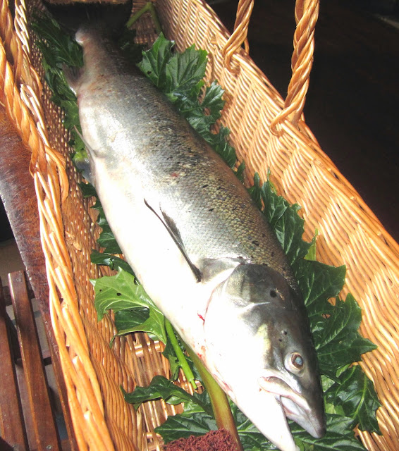 El rincón de Mundín PESCADOS DE