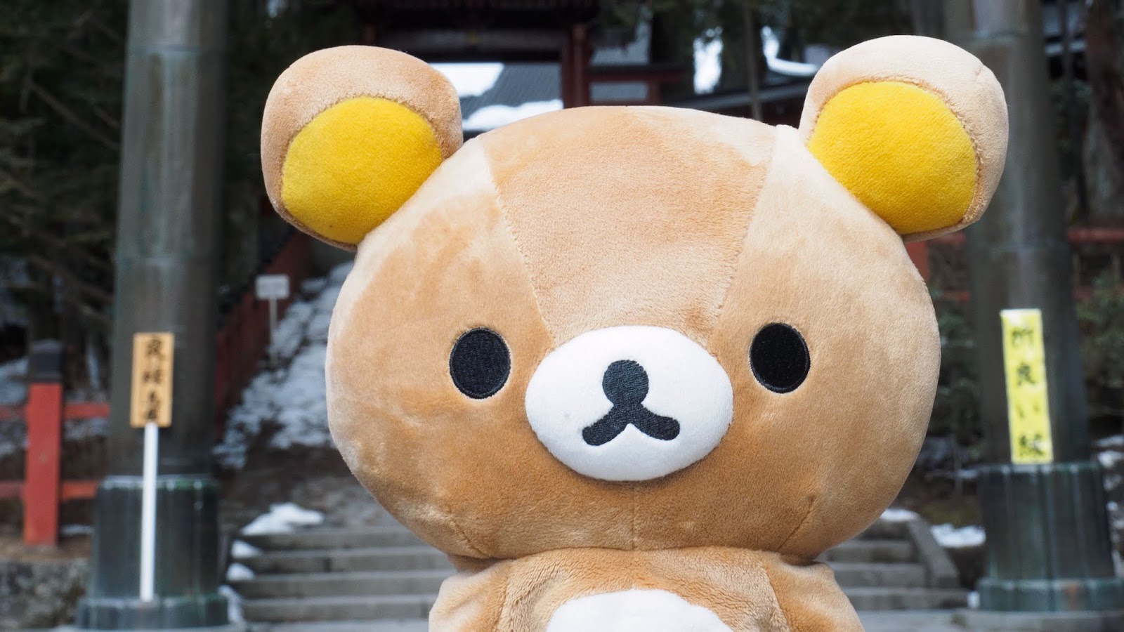Free Rilakkuma Japanese Teddy Bear Wallpaper