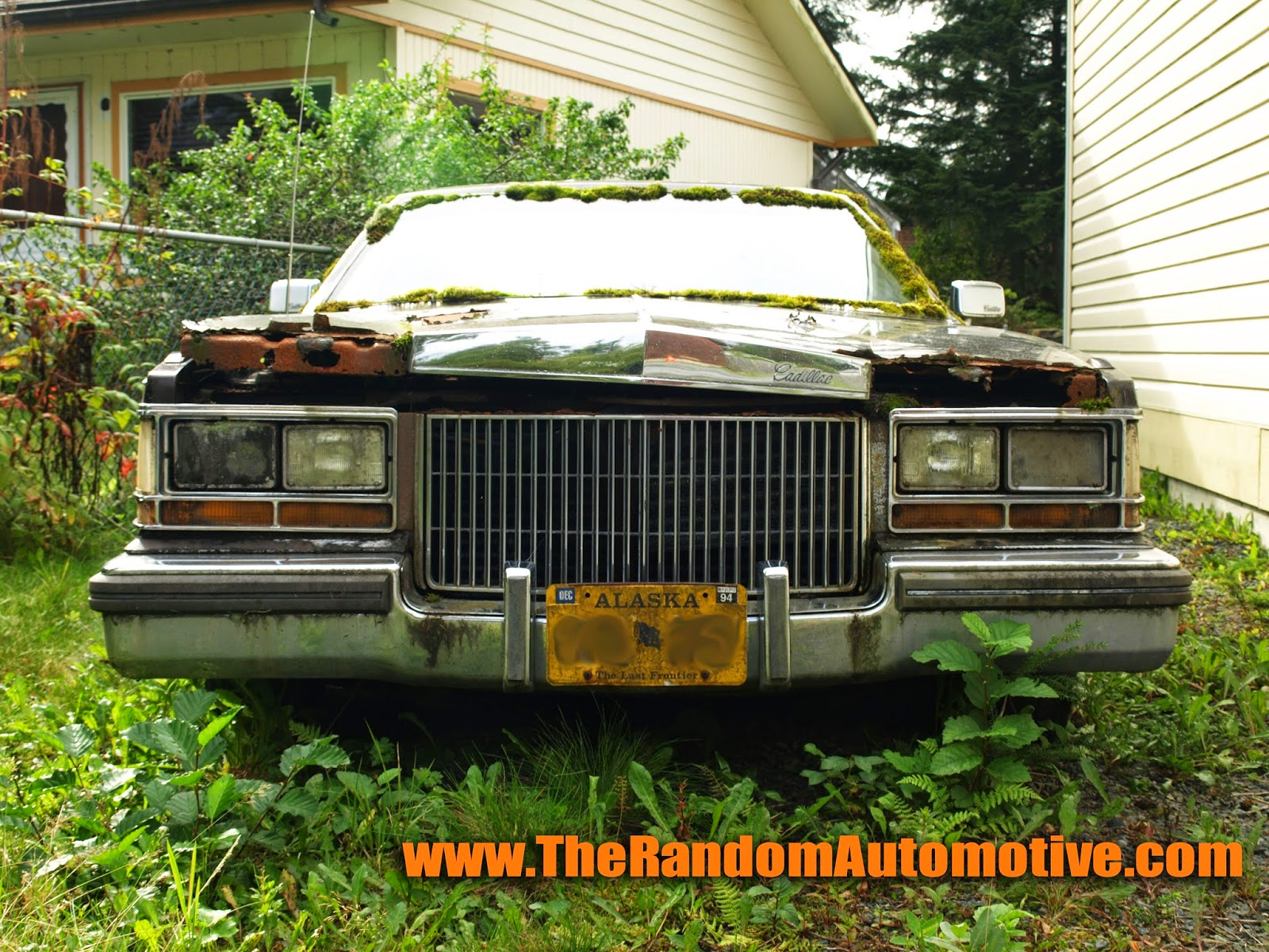 abandoned 1980 cadillac seville sitka alaska rotting in style gm dylan benson