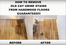 Black Urine Stains From Hardwood Floors, How To Remove Urine From Hardwood Floors
