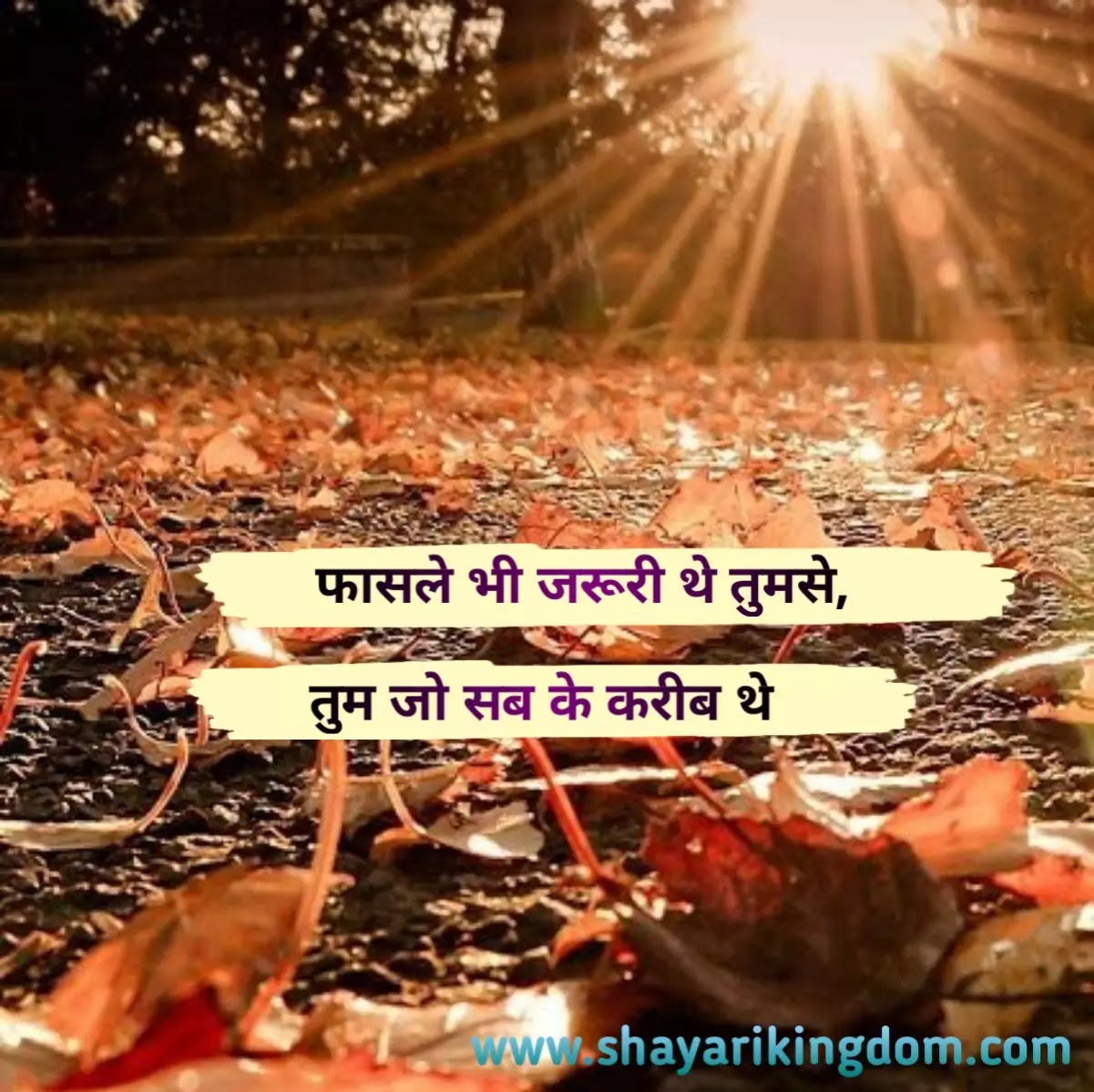 Best hindi shayari collection 2020 | shayarikingdom.com