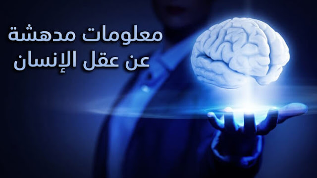 معلومات عن عقل الإنسان معلومات عن عقل الإنسان