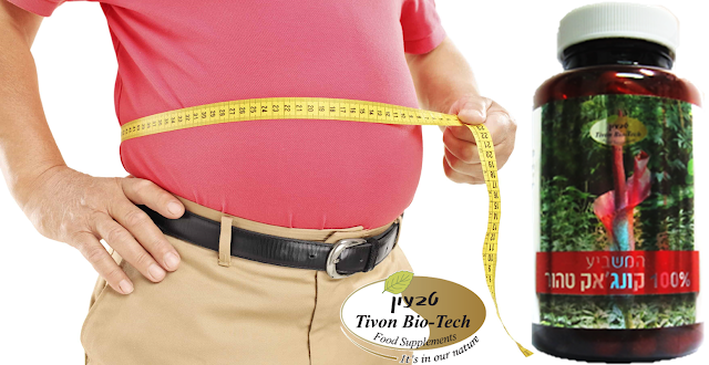 קונג'אק - טבעון ביוטק