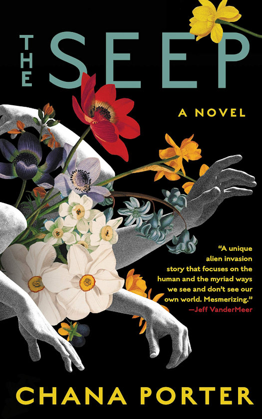2020 Debut Author Challenge - January Debuts