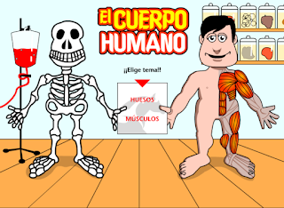 HUESO Y MÚSCULOS DEL CUERPO HUMANO