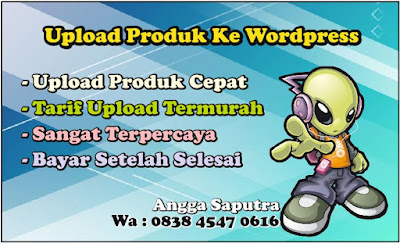 Upload Massal Wordpress Instant Toko