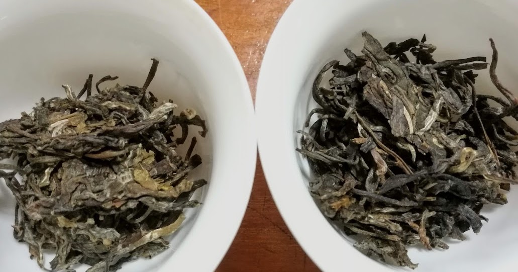 Tea in the ancient world King Tea Mall Nan Nuo and Zi Qi comparison