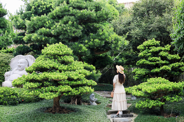 台灣銘園庭園美術館由古樹、奇石、石雕和水池組成的唯美庭園景觀