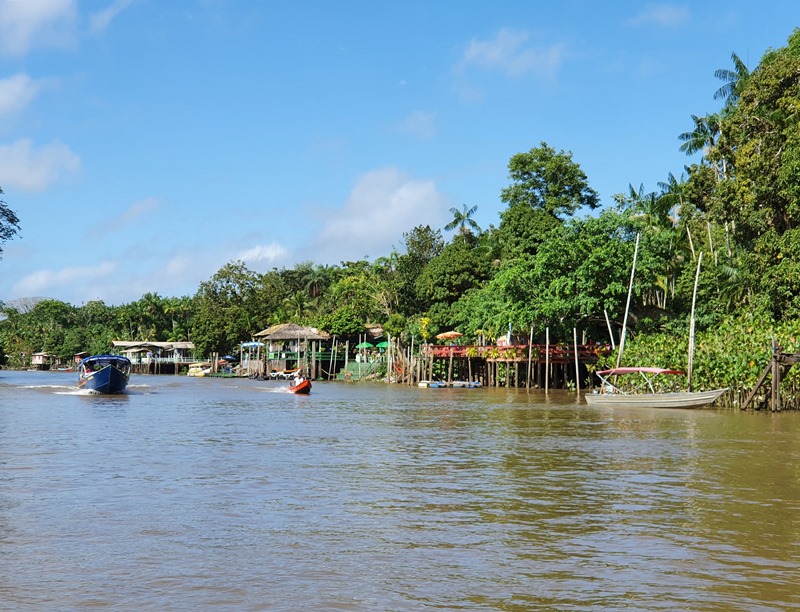 Tem que ir: Ilha do Combu, um pedacinho da Amazônia em Belém do Pará