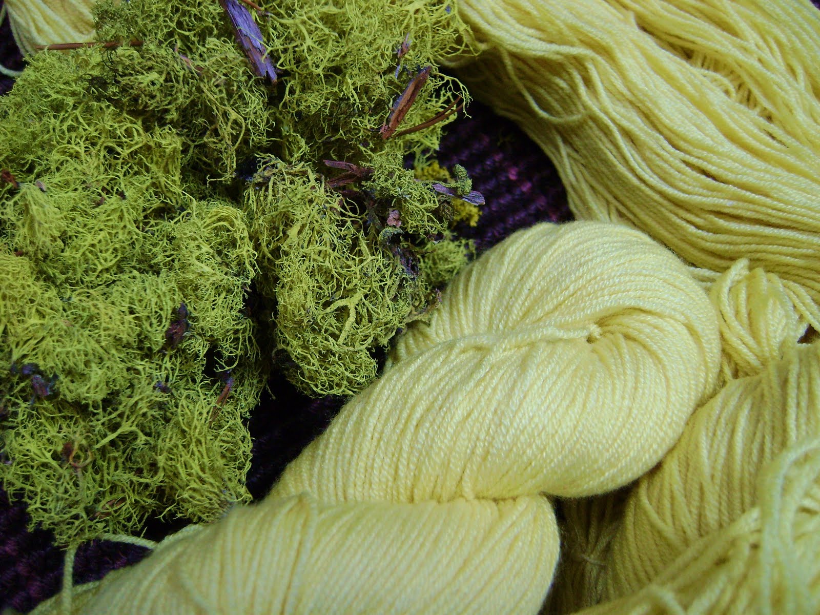 sheepthrillsyarn Wolf Moss makes my day