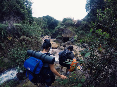 Trek Terbaru Papandayan