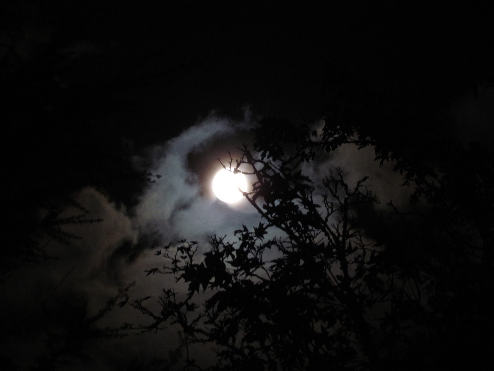 Scene Through My Eyes: I See The Moon