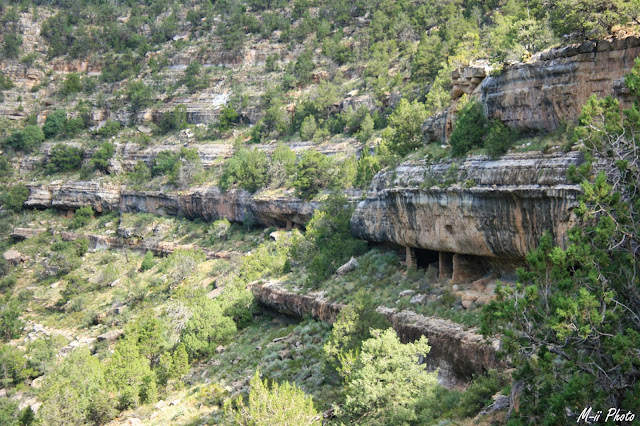 M-ii Photo : Walnut Canyon National Monument