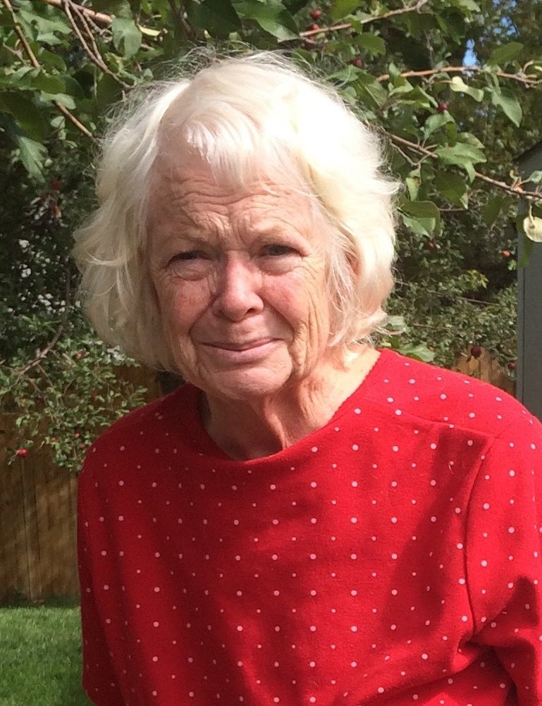 Evans Funeral Homes Obituaries Barbara Ann Ennis