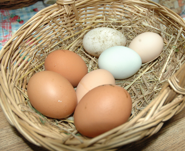 Heisler's Creative Stitchery 2021