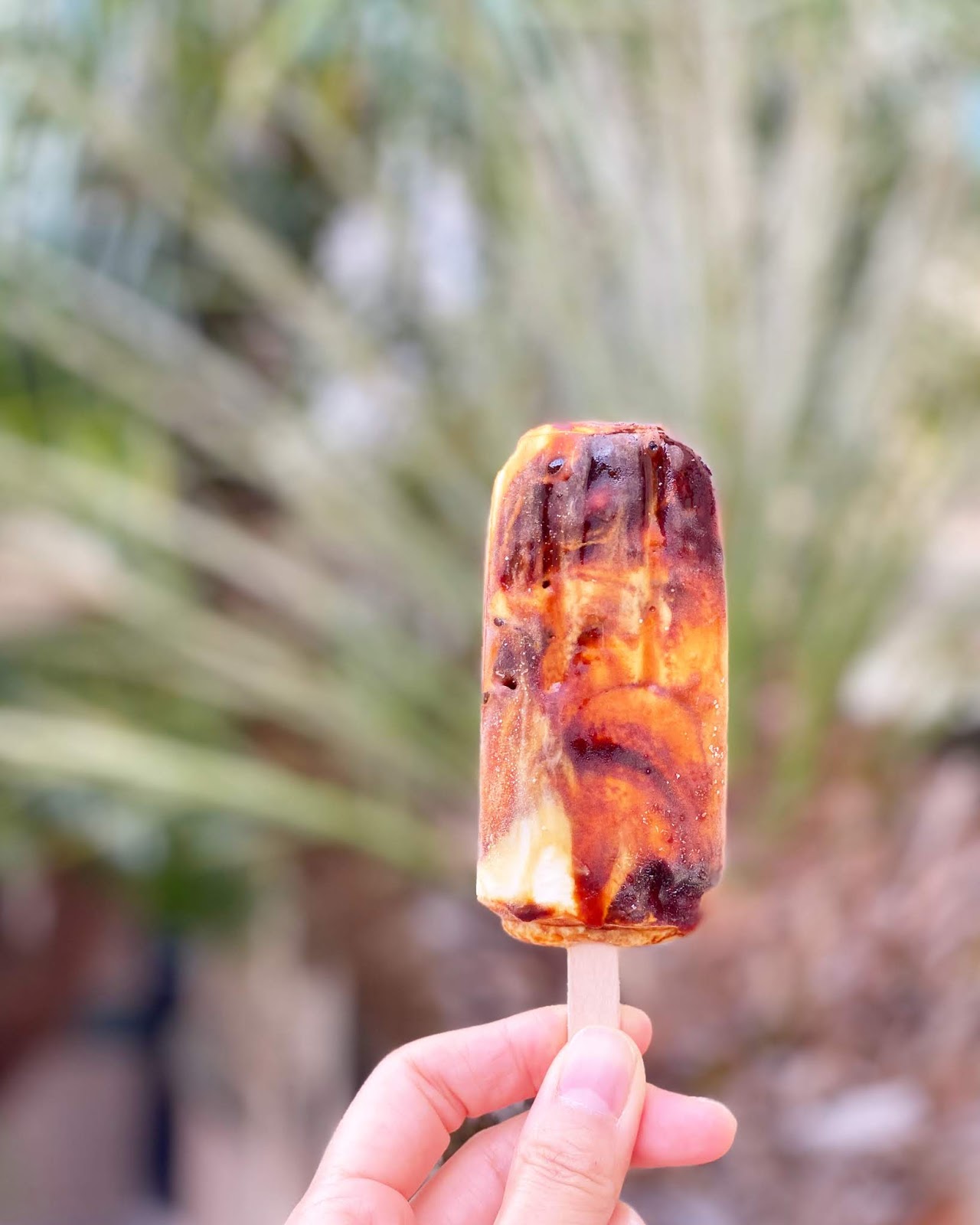 Hawaii Mom Blog I Finally Tried Boba Ice Cream Bars!