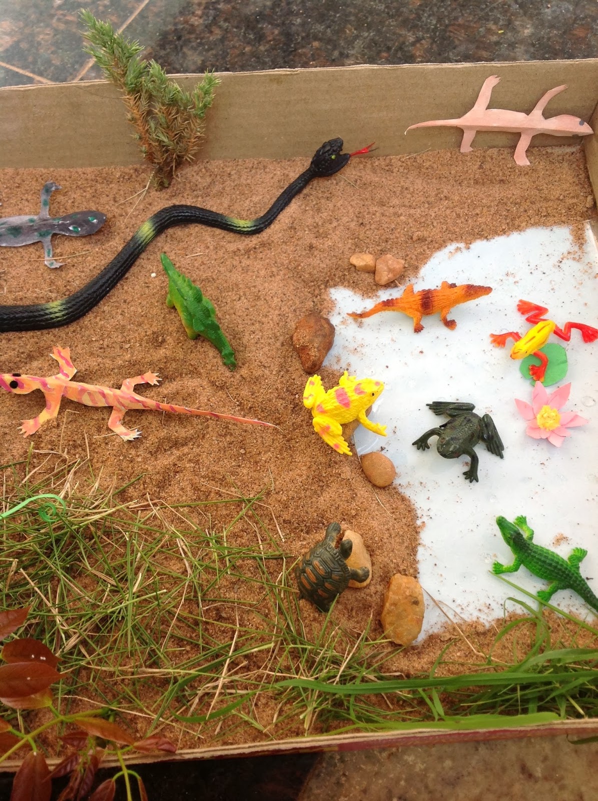 MomThe First Teacher Sensory Play Reptiles and Amphibians (With