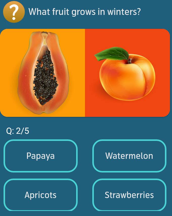 What fruit grows in winters?