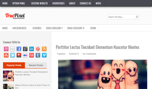 TruePixel Free Blogger Template TruePixel Free Blogger Template