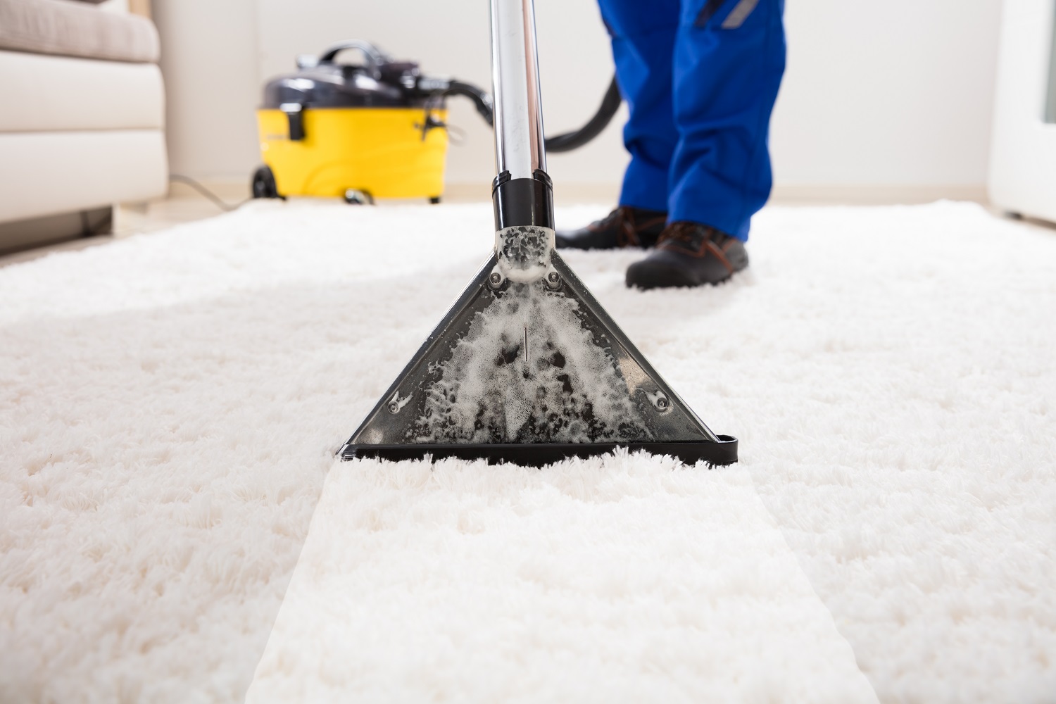 How to effectively clean your carpet?