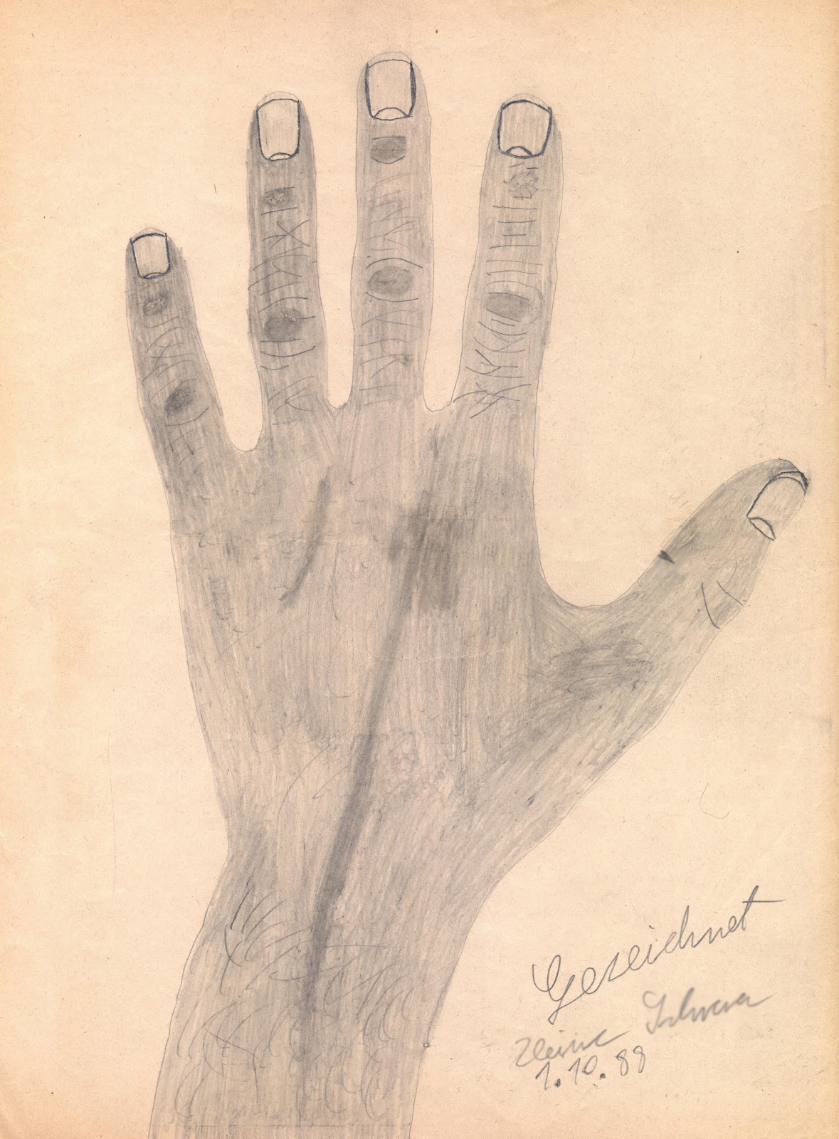 Bleistiftzeichnung - Hand Oberseite (1988-10-01)