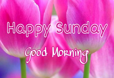 Good Morning Happy Sunday | 25+ Good morning happy Sunday Images Good Morning Happy Sunday | 25+ Good morning happy Sunday Images